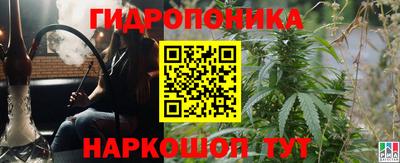 гашик Бузулук