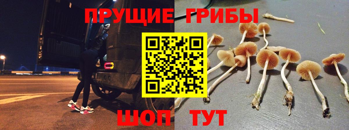 Унеча  Псилоцибиновые грибы ЛСД  Галлюциногенные грибы мицелий  Вход с VPN 