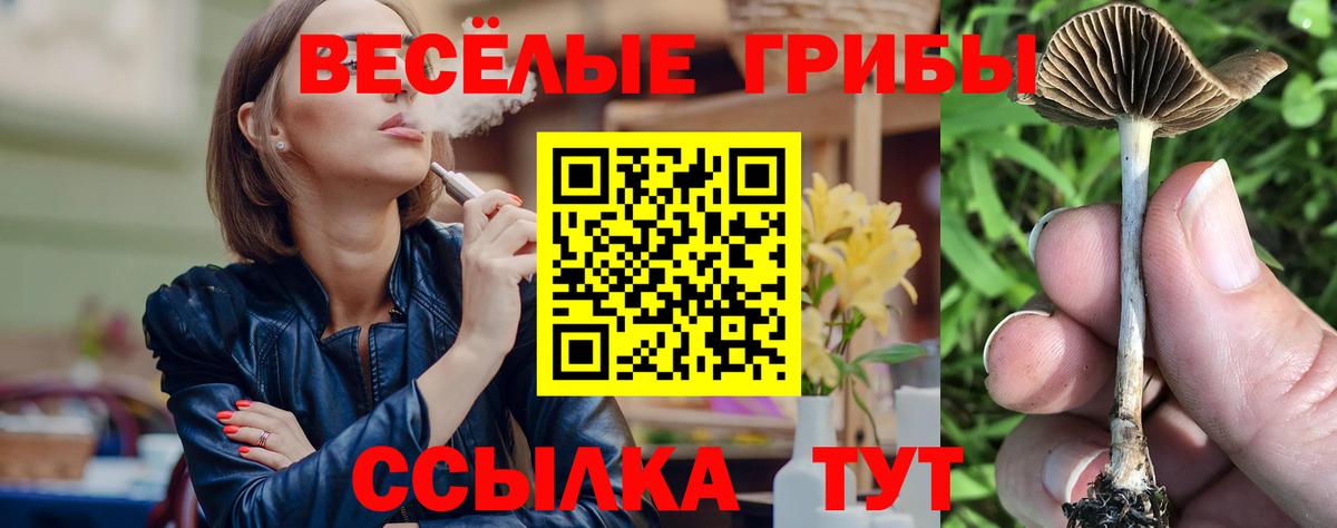 Галлюциногенные грибы Psilocybe Унеча